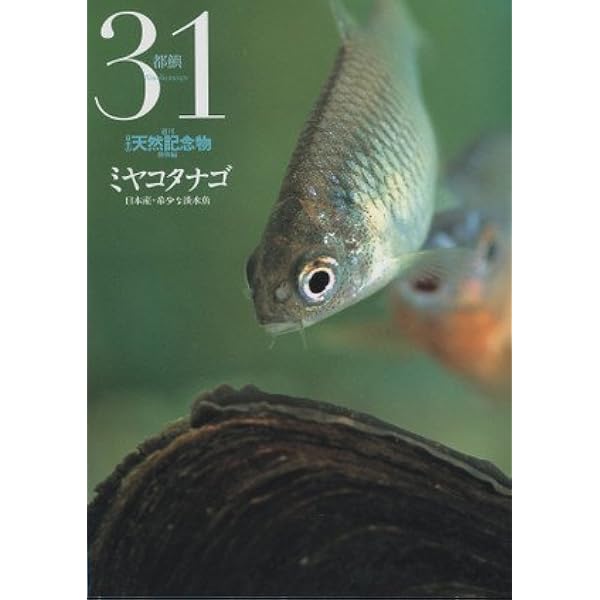 小学館 週刊 日本の天然記念物 動物編 31〜40巻セット Amazon.co.jp: 週刊 日本の天然記念物 動物編 ミヤコタナゴ 31 小学館